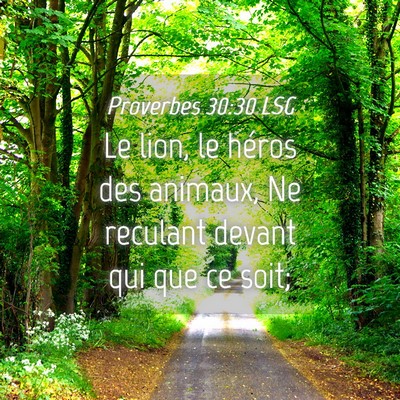 Picture 04 - Proverbes 30:30 LSG - Le lion, le héros des animaux, Ne reculant - Bible Verse Picture