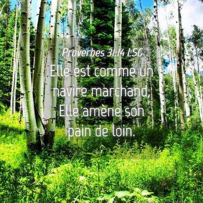 Picture 04 - Proverbes 31:14 LSG - Elle est comme un navire marchand, Elle amène - Bible Verse Picture