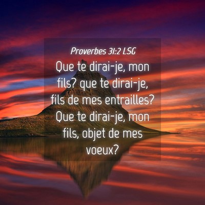 Picture 04 - Proverbes 31:2 LSG - Que te dirai-je, mon fils? que te dirai-je, fils - Bible Verse Picture