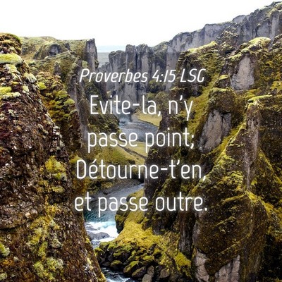 Picture 04 - Proverbes 4:15 LSG - Evite-la, n'y passe point; Détourne-t'en, et - Bible Verse Picture