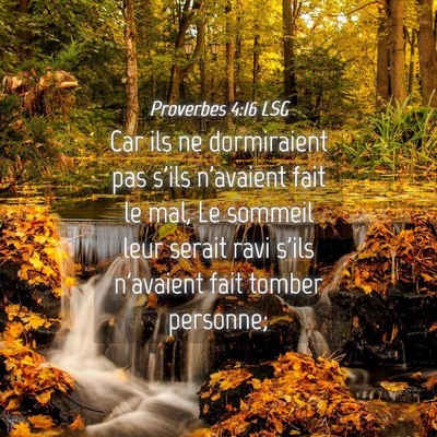 Picture 04 - Proverbes 4:16 LSG - Car ils ne dormiraient pas s'ils n'avaient fait - Bible Verse Picture