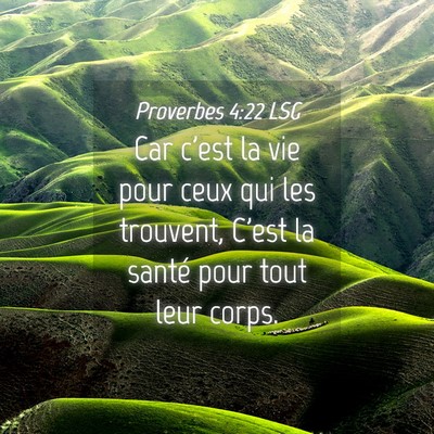 Picture 04 - Proverbes 4:22 LSG - Car c'est la vie pour ceux qui les trouvent, - Bible Verse Picture