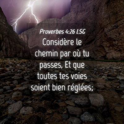 Picture 04 - Proverbes 4:26 LSG - Considère le chemin par où tu passes, Et que - Bible Verse Picture