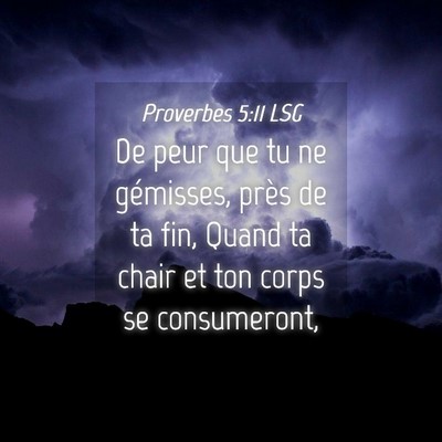 Picture 04 - Proverbes 5:11 LSG - De peur que tu ne gémisses, près de ta fin, - Bible Verse Picture