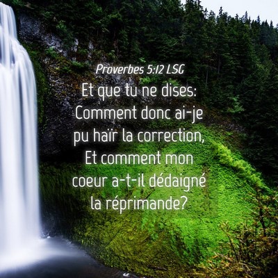 Picture 04 - Proverbes 5:12 LSG - Et que tu ne dises: Comment donc ai-je pu haïr - Bible Verse Picture