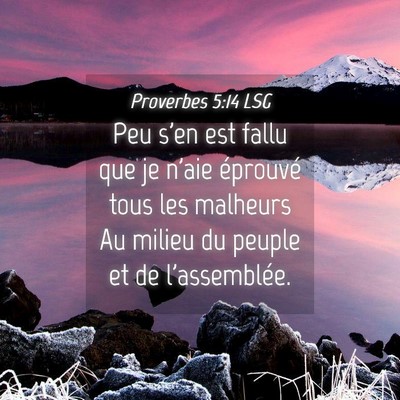 Picture 04 - Proverbes 5:14 LSG - Peu s'en est fallu que je n'aie éprouvé tous - Bible Verse Picture