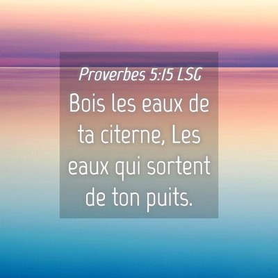 Picture 04 - Proverbes 5:15 LSG - Bois les eaux de ta citerne, Les eaux qui sortent - Bible Verse Picture