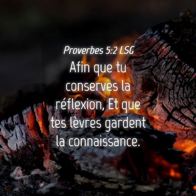 Picture 04 - Proverbes 5:2 LSG - Afin que tu conserves la réflexion, Et que tes - Bible Verse Picture