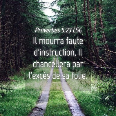Picture 04 - Proverbes 5:23 LSG - Il mourra faute d'instruction, Il chancellera par - Bible Verse Picture