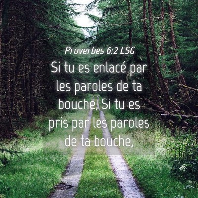 Picture 04 - Proverbes 6:2 LSG - Si tu es enlacé par les paroles de ta bouche, Si - Bible Verse Picture