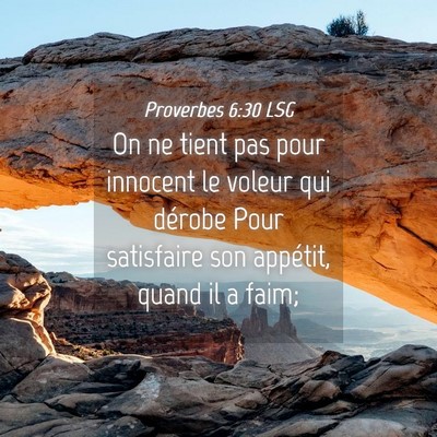 Picture 04 - Proverbes 6:30 LSG - On ne tient pas pour innocent le voleur qui - Bible Verse Picture