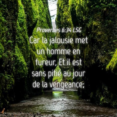 Picture 04 - Proverbes 6:34 LSG - Car la jalousie met un homme en fureur, Et il est - Bible Verse Picture