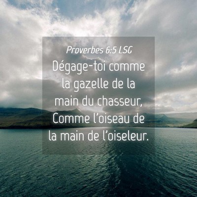 Picture 04 - Proverbes 6:5 LSG - Dégage-toi comme la gazelle de la main du - Bible Verse Picture
