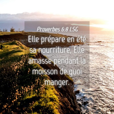 Picture 04 - Proverbes 6:8 LSG - Elle prépare en été sa nourriture, Elle amasse - Bible Verse Picture