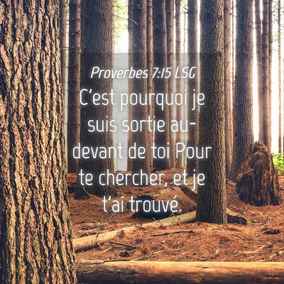 Picture 04 - Proverbes 7:15 LSG - C'est pourquoi je suis sortie au-devant de toi - Bible Verse Picture