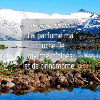 Picture 04 - Proverbes 7:17 LSG - J'ai parfumé ma couche De myrrhe, d'aloès et de - Bible Verse Picture