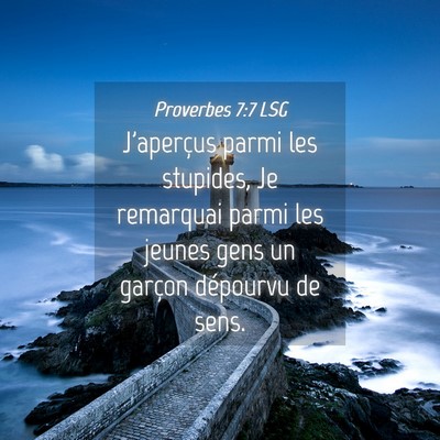 Picture 04 - Proverbes 7:7 LSG - J'aperçus parmi les stupides, Je remarquai parmi - Bible Verse Picture