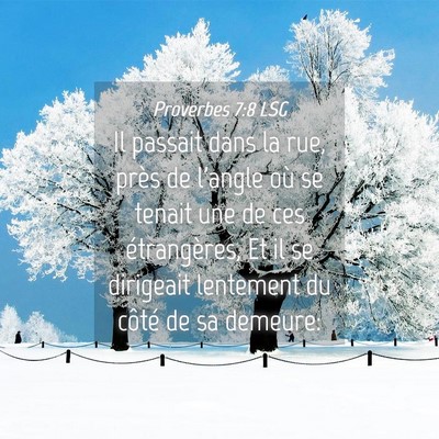 Picture 04 - Proverbes 7:8 LSG - Il passait dans la rue, près de l'angle où se - Bible Verse Picture