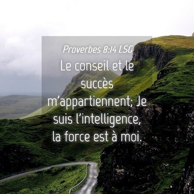 Picture 04 - Proverbes 8:14 LSG - Le conseil et le succès m'appartiennent; Je suis - Bible Verse Picture