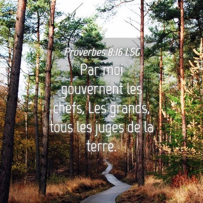 Picture 04 - Proverbes 8:16 LSG - Par moi gouvernent les chefs, Les grands, tous - Bible Verse Picture