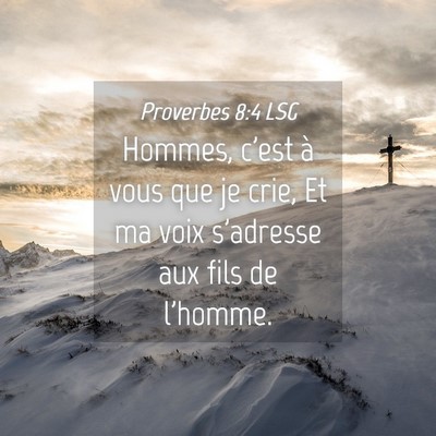 Picture 04 - Proverbes 8:4 LSG - Hommes, c'est à vous que je crie, Et ma voix - Bible Verse Picture