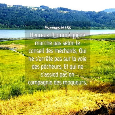Picture 04 - Psaumes 1:1 LSG - Heureux l'homme qui ne marche pas selon le - Bible Verse Picture