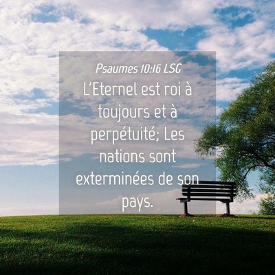 Picture 04 - Psaumes 10:16 LSG - L'Eternel est roi à toujours et à perpétuité; - Bible Verse Picture