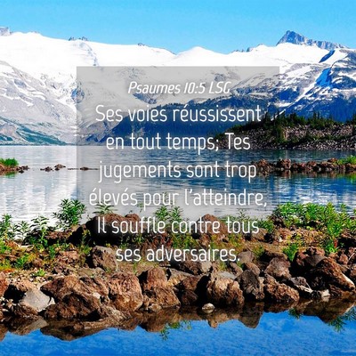 Picture 04 - Psaumes 10:5 LSG - Ses voies réussissent en tout temps; Tes - Bible Verse Picture