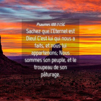 Picture 04 - Psaumes 100:3 LSG - Sachez que l'Eternel est Dieu! C'est lui qui nous - Bible Verse Picture
