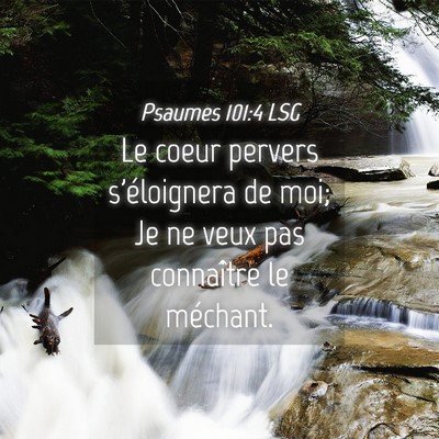 Picture 04 - Psaumes 101:4 LSG - Le coeur pervers s'éloignera de moi; Je ne veux - Bible Verse Picture