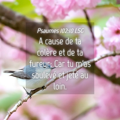 Picture 04 - Psaumes 102:10 LSG - A cause de ta colère et de ta fureur; Car tu - Bible Verse Picture