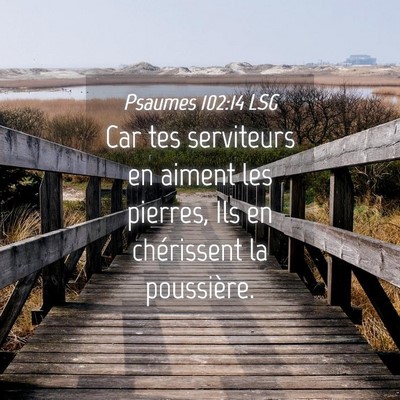 Picture 04 - Psaumes 102:14 LSG - Car tes serviteurs en aiment les pierres, Ils en - Bible Verse Picture