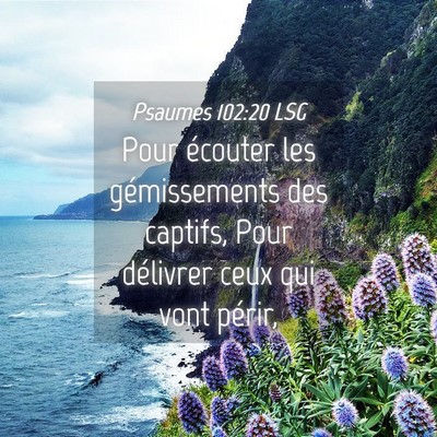 Picture 04 - Psaumes 102:20 LSG - Pour écouter les gémissements des captifs, Pour - Bible Verse Picture