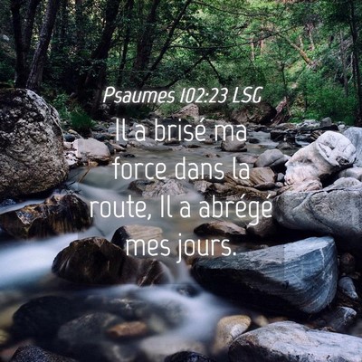 Picture 04 - Psaumes 102:23 LSG - Il a brisé ma force dans la route, Il a abrégé - Bible Verse Picture
