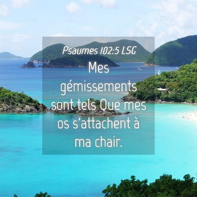 Picture 04 - Psaumes 102:5 LSG - Mes gémissements sont tels Que mes os - Bible Verse Picture