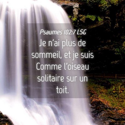 Picture 04 - Psaumes 102:7 LSG - Je n'ai plus de sommeil, et je suis Comme - Bible Verse Picture