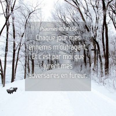 Picture 04 - Psaumes 102:8 LSG - Chaque jour mes ennemis m'outragent, Et c'est par - Bible Verse Picture