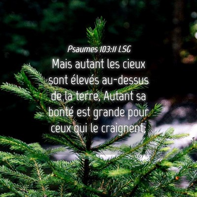 Picture 04 - Psaumes 103:11 LSG - Mais autant les cieux sont élevés au-dessus de - Bible Verse Picture