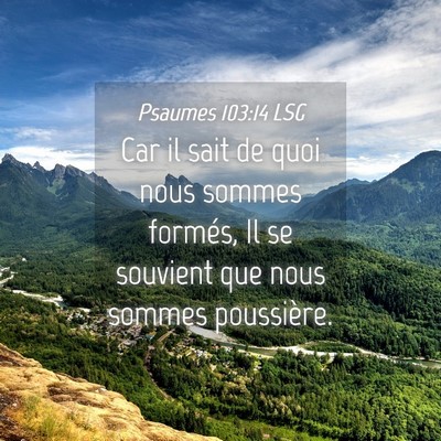 Picture 04 - Psaumes 103:14 LSG - Car il sait de quoi nous sommes formés, Il se - Bible Verse Picture