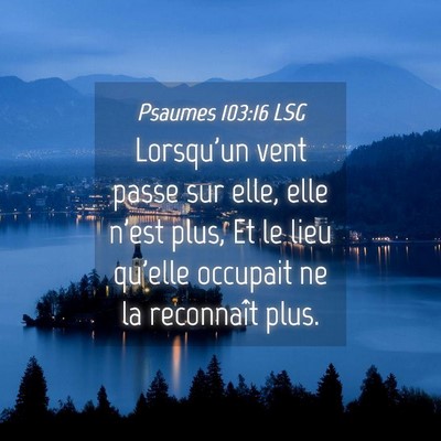 Picture 04 - Psaumes 103:16 LSG - Lorsqu'un vent passe sur elle, elle n'est plus, - Bible Verse Picture