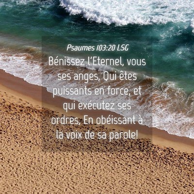 Picture 04 - Psaumes 103:20 LSG - Bénissez l'Eternel, vous ses anges, Qui êtes - Bible Verse Picture