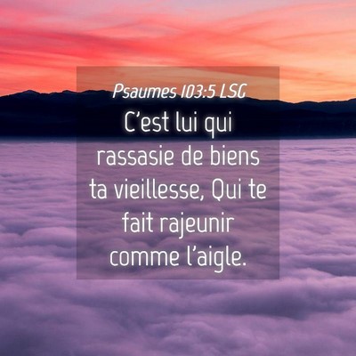 Picture 04 - Psaumes 103:5 LSG - C'est lui qui rassasie de biens ta vieillesse, - Bible Verse Picture