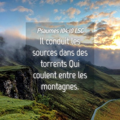 Picture 04 - Psaumes 104:10 LSG - Il conduit les sources dans des torrents Qui - Bible Verse Picture