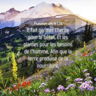 Picture 04 - Psaumes 104:14 LSG - Il fait germer l'herbe pour le bétail, Et les - Bible Verse Picture