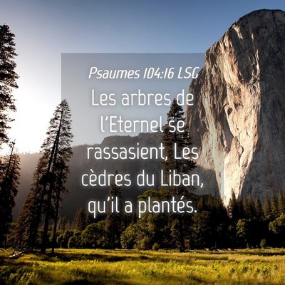 Picture 04 - Psaumes 104:16 LSG - Les arbres de l'Eternel se rassasient, Les - Bible Verse Picture