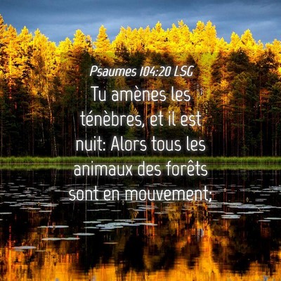 Picture 04 - Psaumes 104:20 LSG - Tu amènes les ténèbres, et il est nuit: Alors - Bible Verse Picture