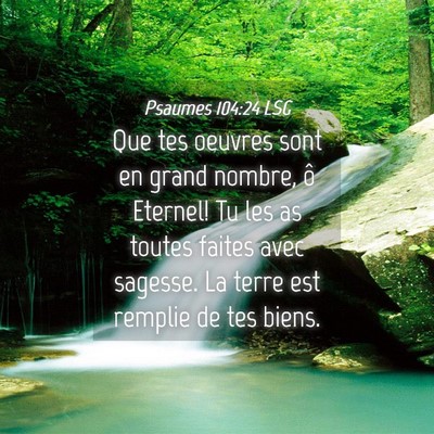 Picture 04 - Psaumes 104:24 LSG - Que tes oeuvres sont en grand nombre, ô Eternel! - Bible Verse Picture