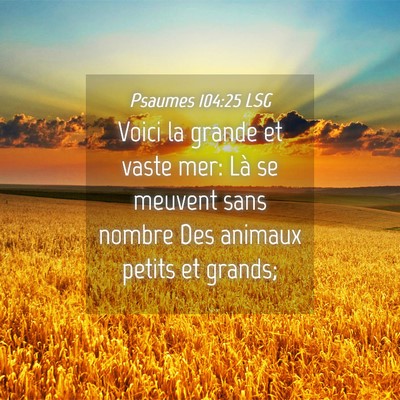 Picture 04 - Psaumes 104:25 LSG - Voici la grande et vaste mer: Là se meuvent sans - Bible Verse Picture