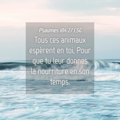 Picture 04 - Psaumes 104:27 LSG - Tous ces animaux espèrent en toi, Pour que tu - Bible Verse Picture