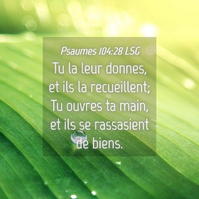 Picture 04 - Psaumes 104:28 LSG - Tu la leur donnes, et ils la recueillent; Tu - Bible Verse Picture